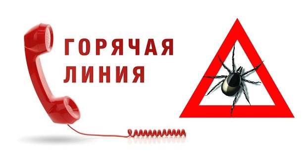 О Всероссийской горячей линии по профилактике клещевого энцефалита и инфекций, передающихся клещами.